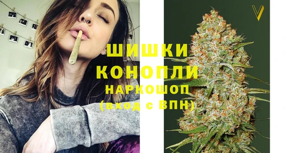 гидра Заволжск