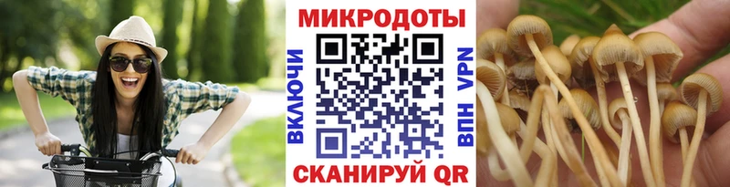 Галлюциногенные грибы мухоморы где продают наркотики Камышлов