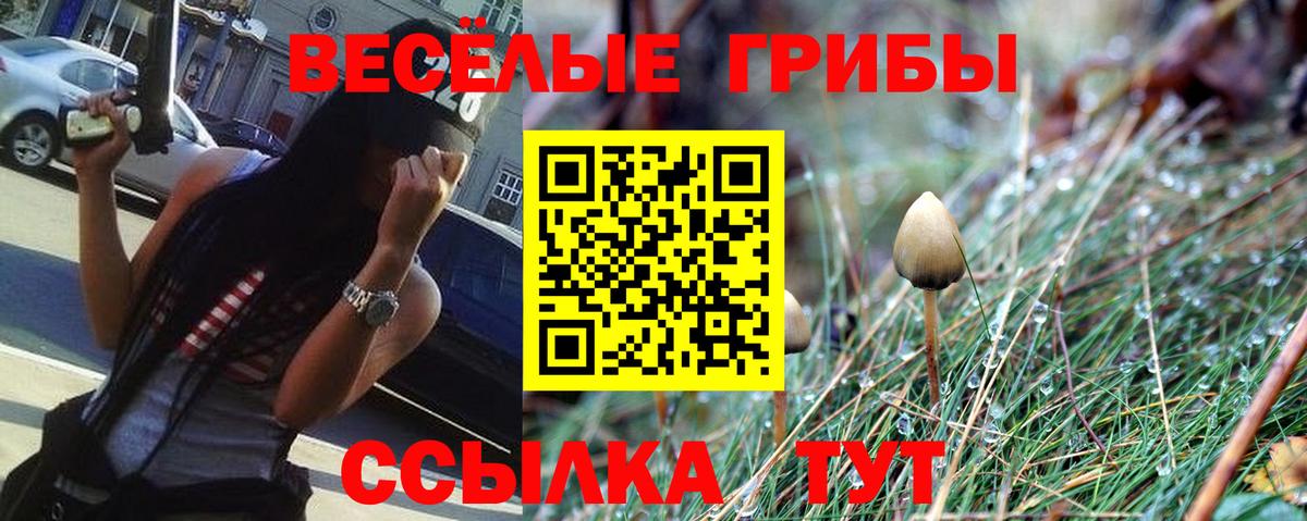Галлюциногенные грибы прущие грибы  Вход с VPN  Камышлов  Псилоцибиновые грибы GOLDEN TEACHER 