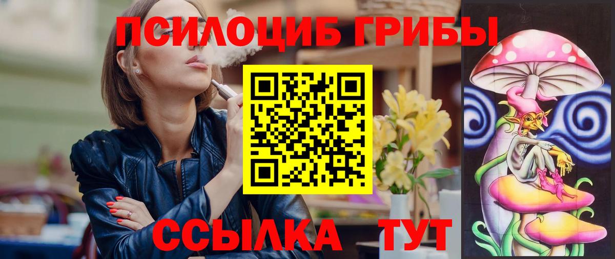 Псилоцибиновые грибы GOLDEN TEACHER Камышлов
