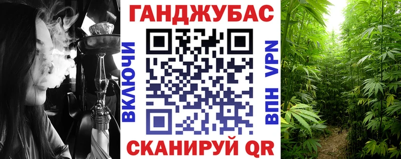 продажа наркотиков  МЕГА онион  Канабис план  Камышлов 